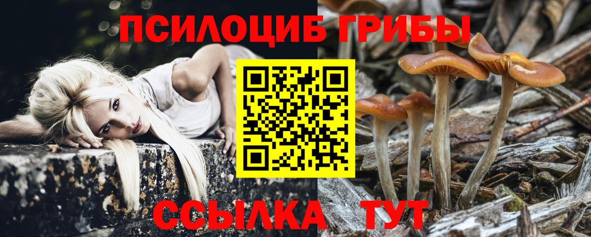 Галлюциногенные грибы мицелий  Вход с VPN  купить закладку  Боровичи 