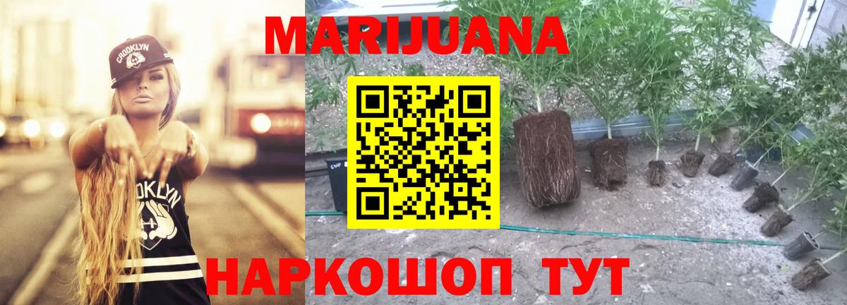 Канабис ГИДРОПОН Боровичи